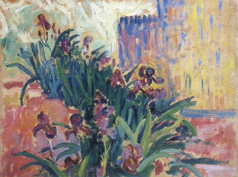 Paul Signac irises oil painting picture
